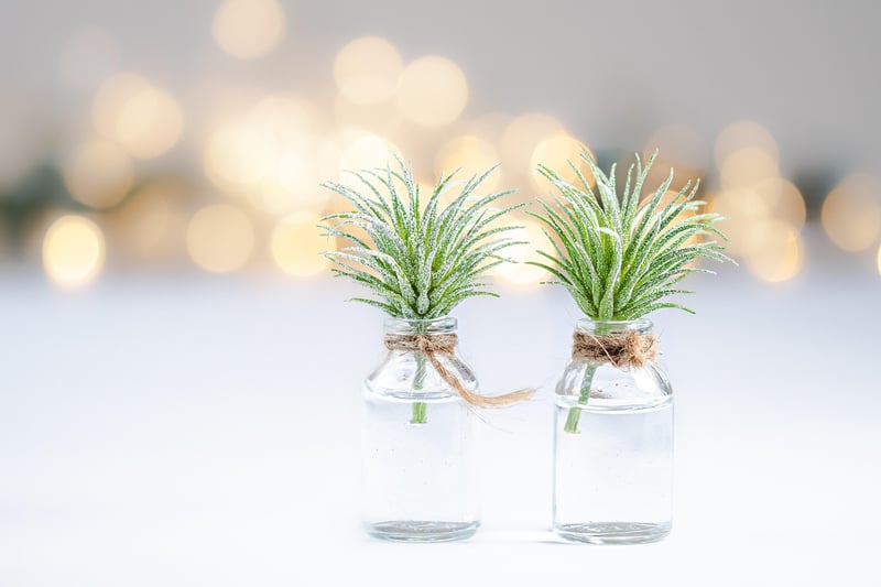 Glass Jar Planters